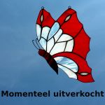 Vlinder 36x18cm €44